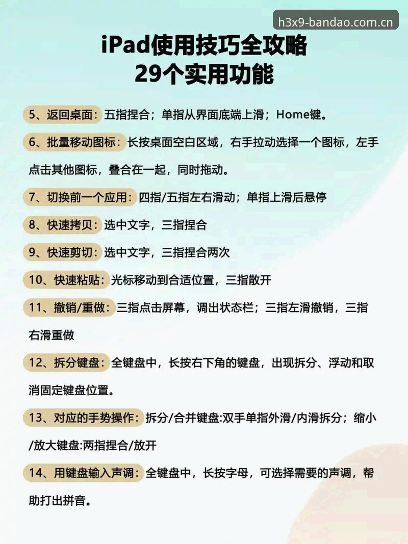 半岛体育平台使用教程：从安装到实战的完整操作指南