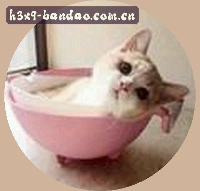 周敏